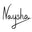 Naysha logo